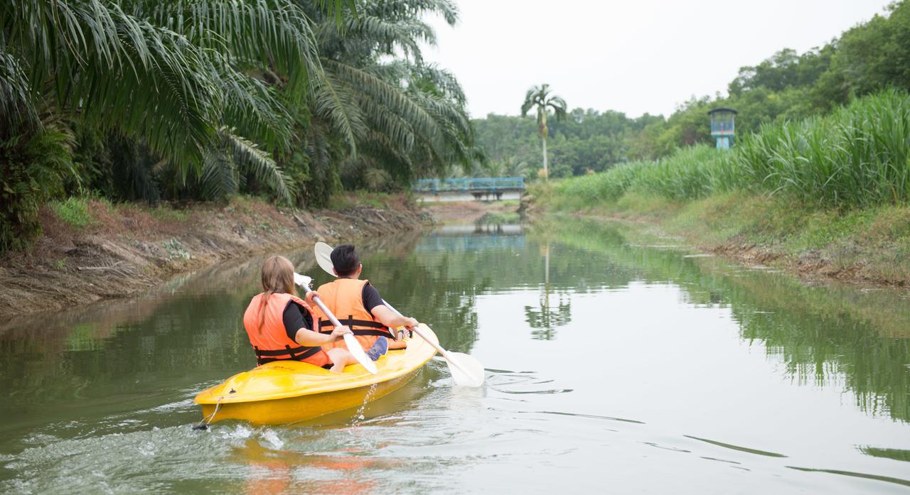Sinar Eco Resort Kampong Bukit Panjang Exteriör bild