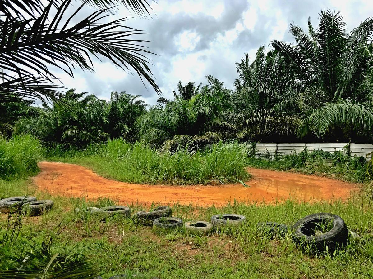 Sinar Eco Resort Kampong Bukit Panjang Exteriör bild